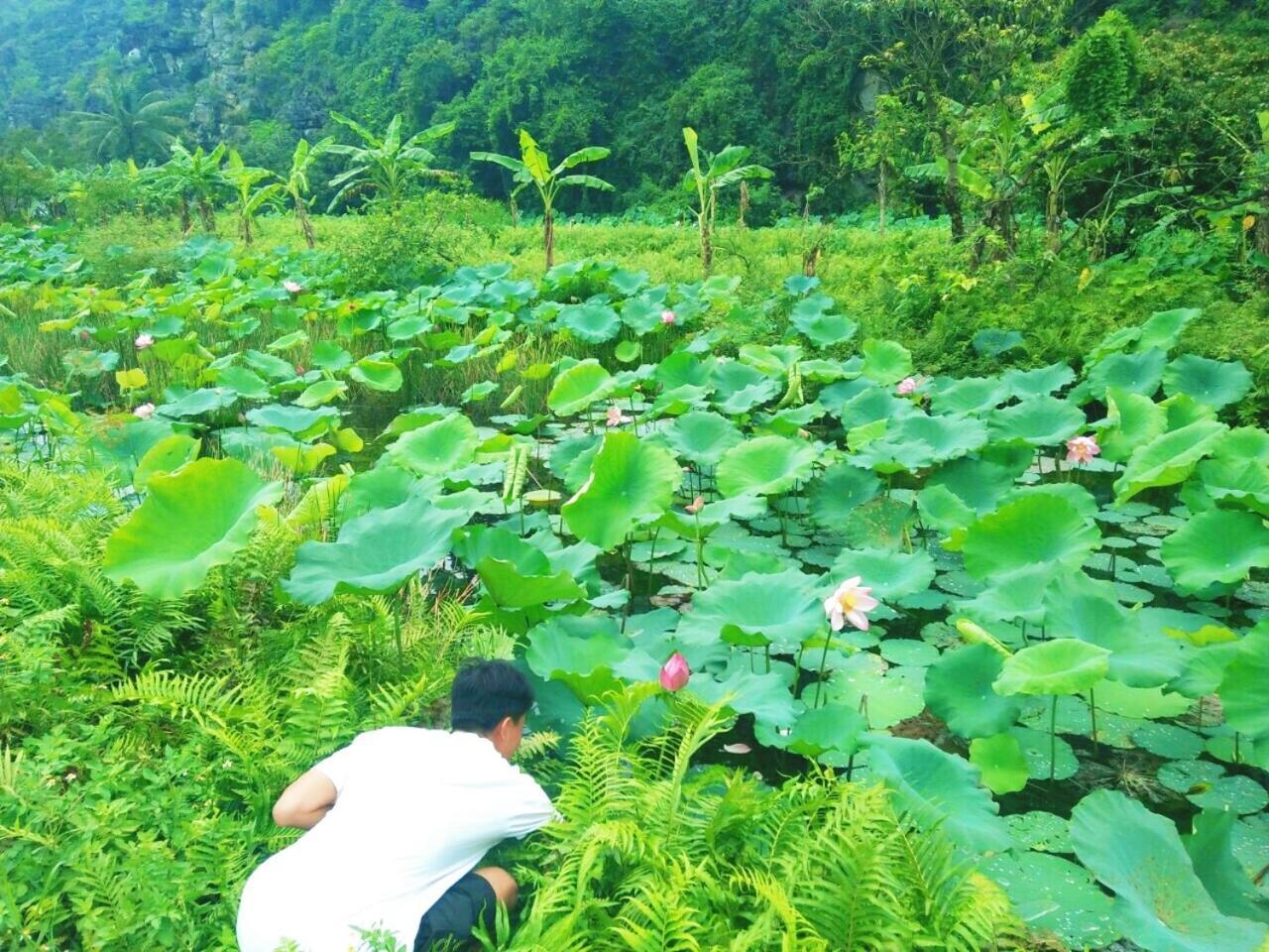 Sunny Trang An Homestay Ninh Binh Exterior photo